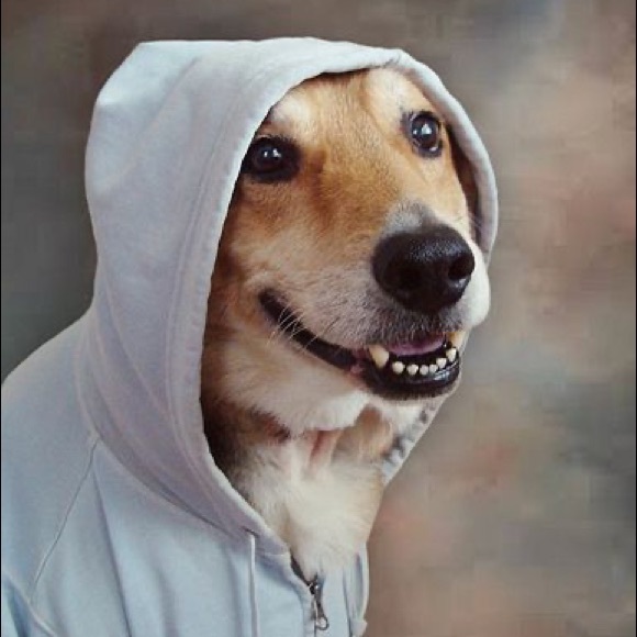 Meet your Posher, David - Picture 1 of 1